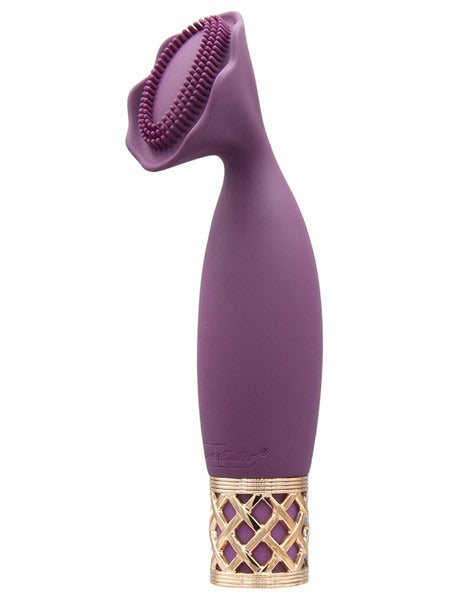 BMS Pillow Talk Secrets Passion Rechargeable Luxurious Mini Massager - Wine