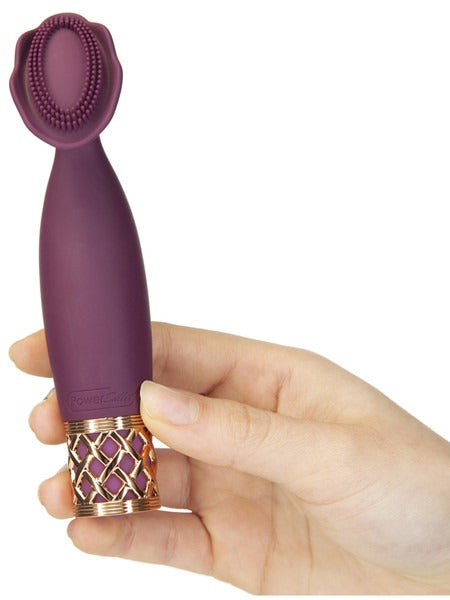 BMS Pillow Talk Secrets Passion Rechargeable Luxurious Mini Massager - Wine