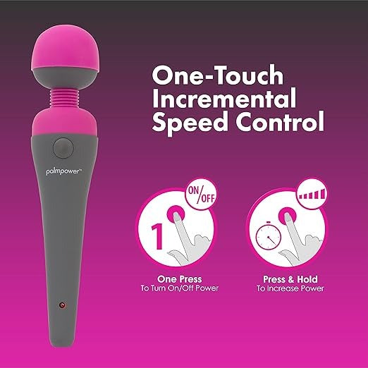 BMS Palm Power Massager
