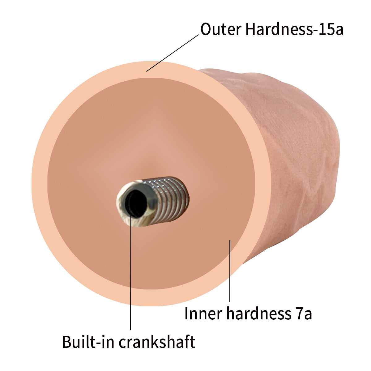 Ultra Realistic 7.9" Dildo with Balls