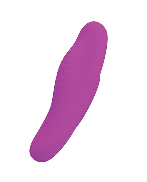 Romance Lisa Magnetic Remote Panty Massanger - Purple