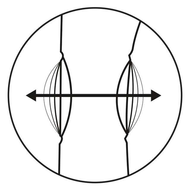 CalExotics Throb Pulse Rechargeable Thumping Rabbit Vibrator