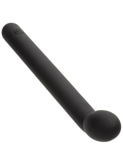 CalExotics Dr Joel Kaplan Rechargeable Prostate Massager