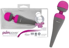 BMS Palm Power Massager