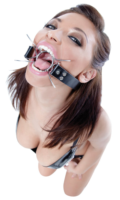 Pipedream Fetish Fantasy Extreme Spider Gag