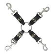 Edge Leather 4 Point Hog Tie-8926